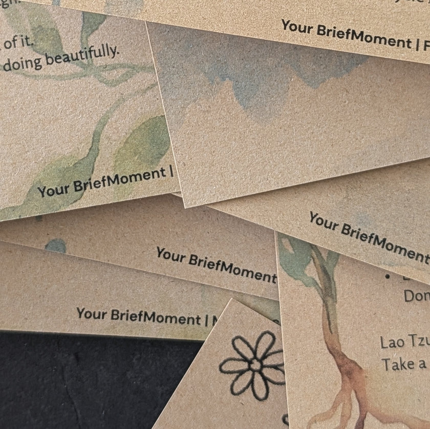 Your Monthly BriefMoment Experience